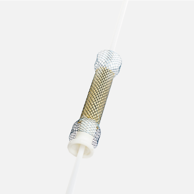 鎳鈦形狀記憶支架（食道） ni-ti shape 