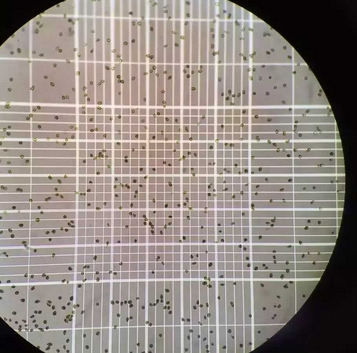 yh-js201伊鴻血細(xì)胞計(jì)數(shù)板