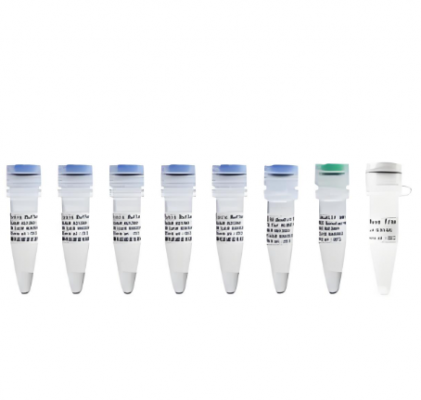 尿總蛋白（utp）測(cè)定試劑盒50人份/盒廠(chǎng)家