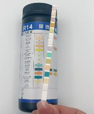 尿液分析試紙條rt-11ut廠家