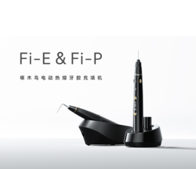 fi-e&fi-p熱牙膠充填儀代理