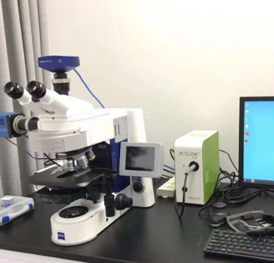 020925287149.png 11.png